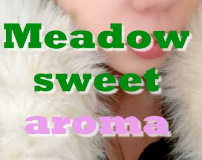 青葉台メンズエステ｜Meadow sweet aroma〜メドウスイートアロマ